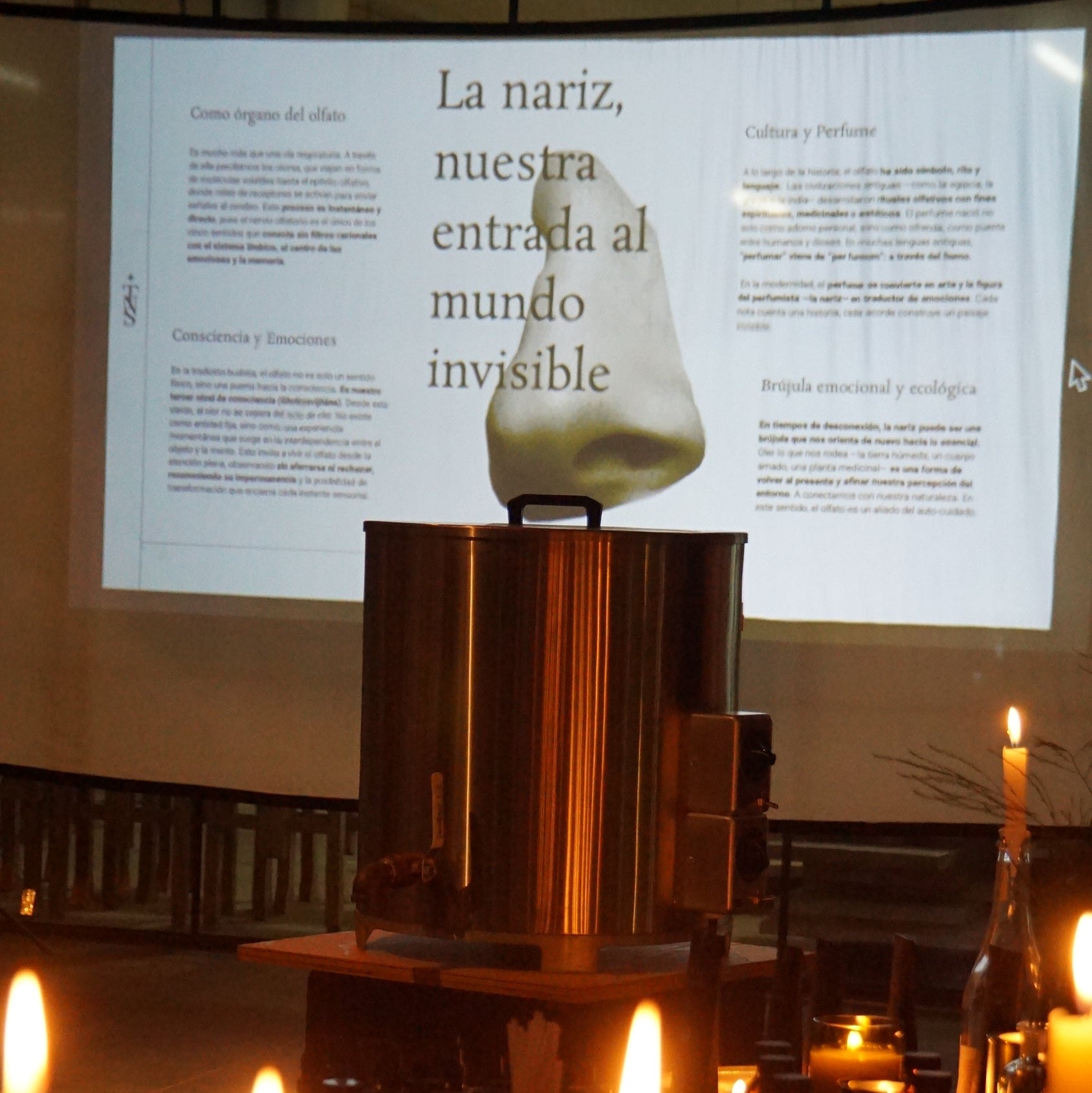 Sensibilidad Olfativa Adultos